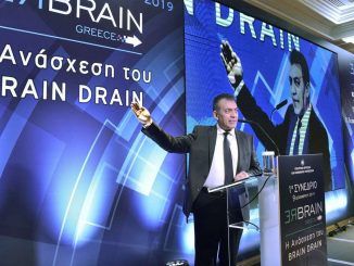 brain