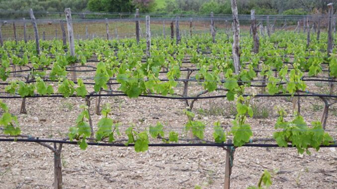 xr:d:DAFRQQyixwk:7,j:40210522377,t:22110709